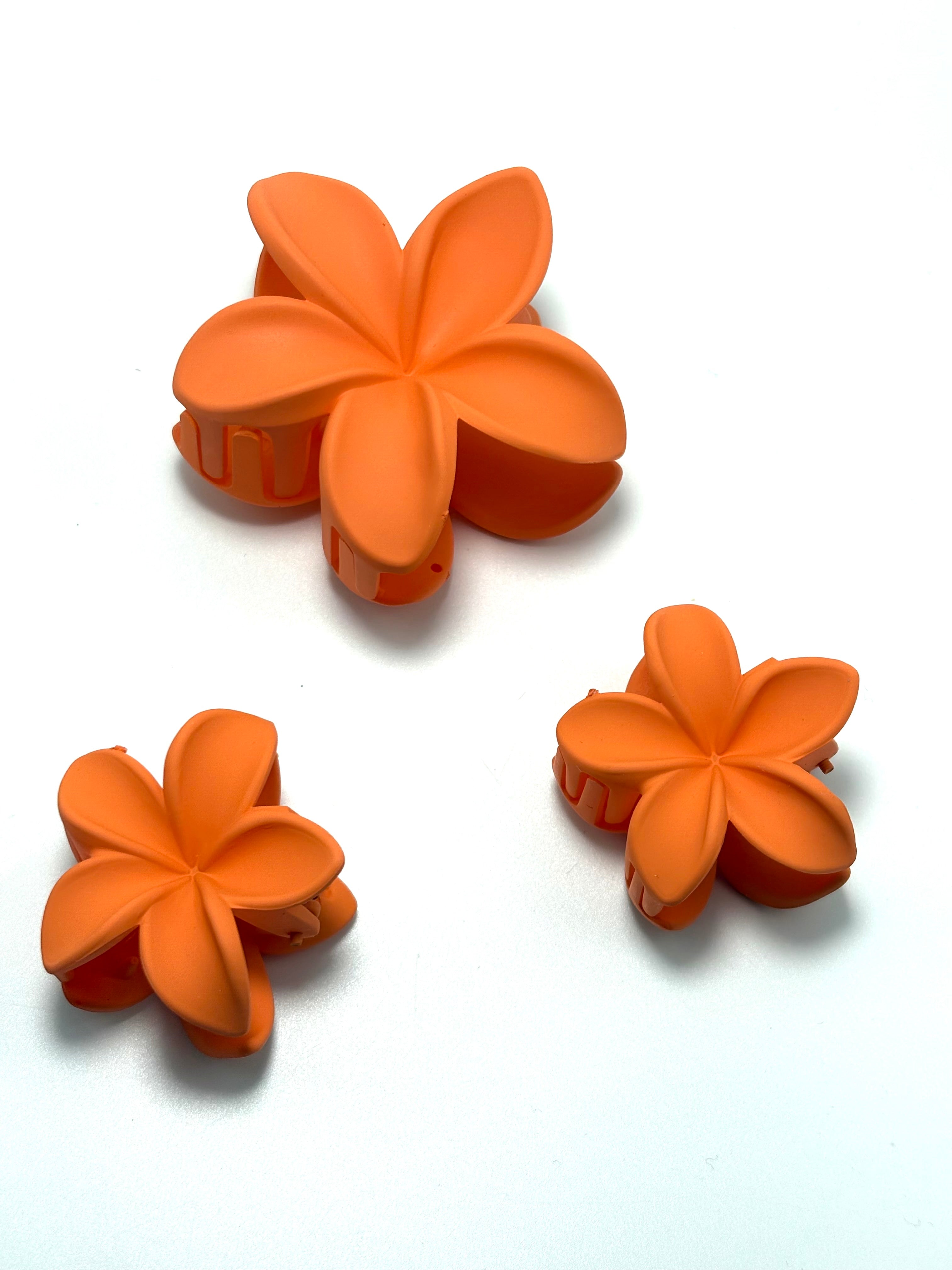 Fermaglio per capelli