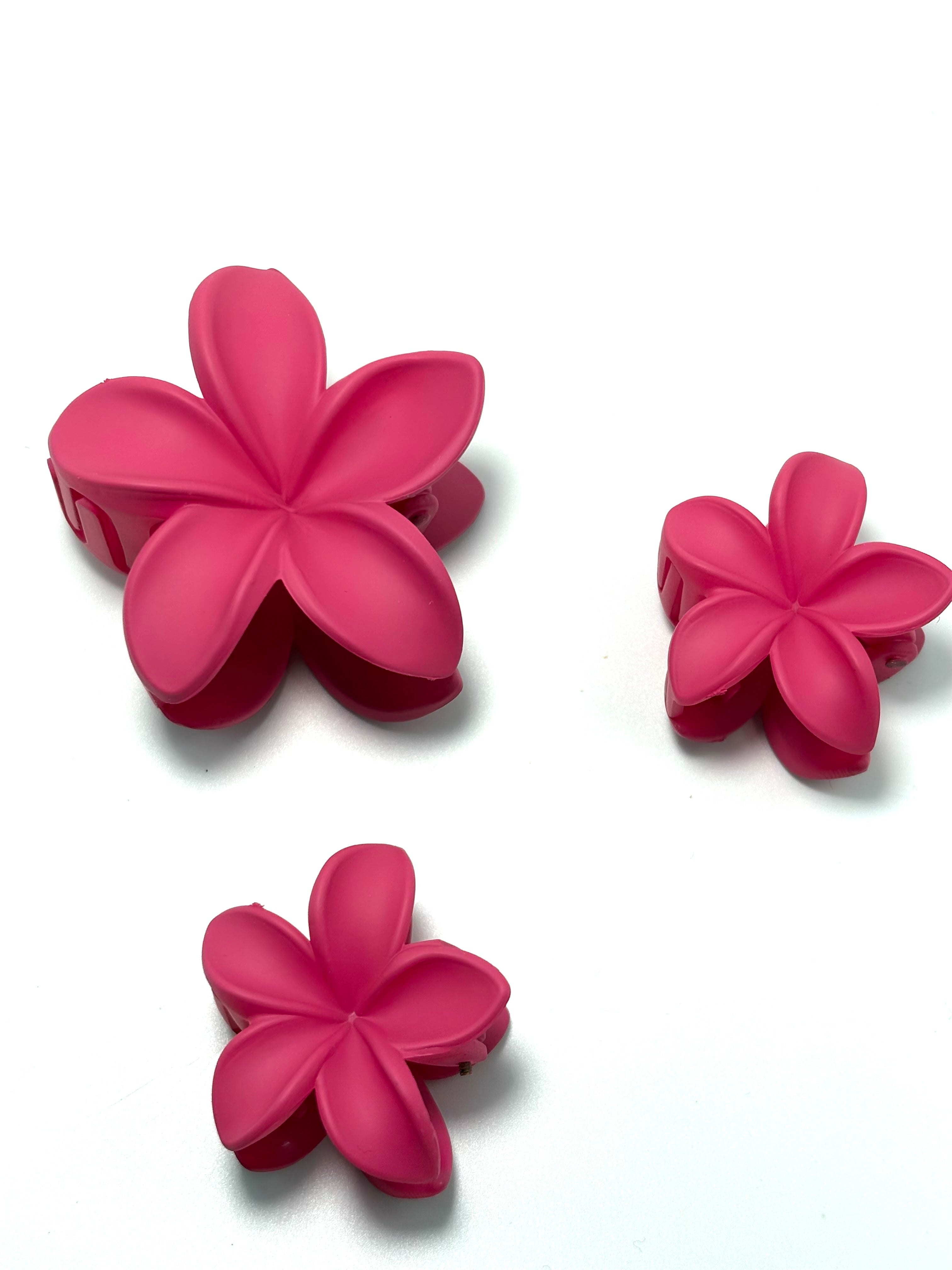 Fermaglio per capelli