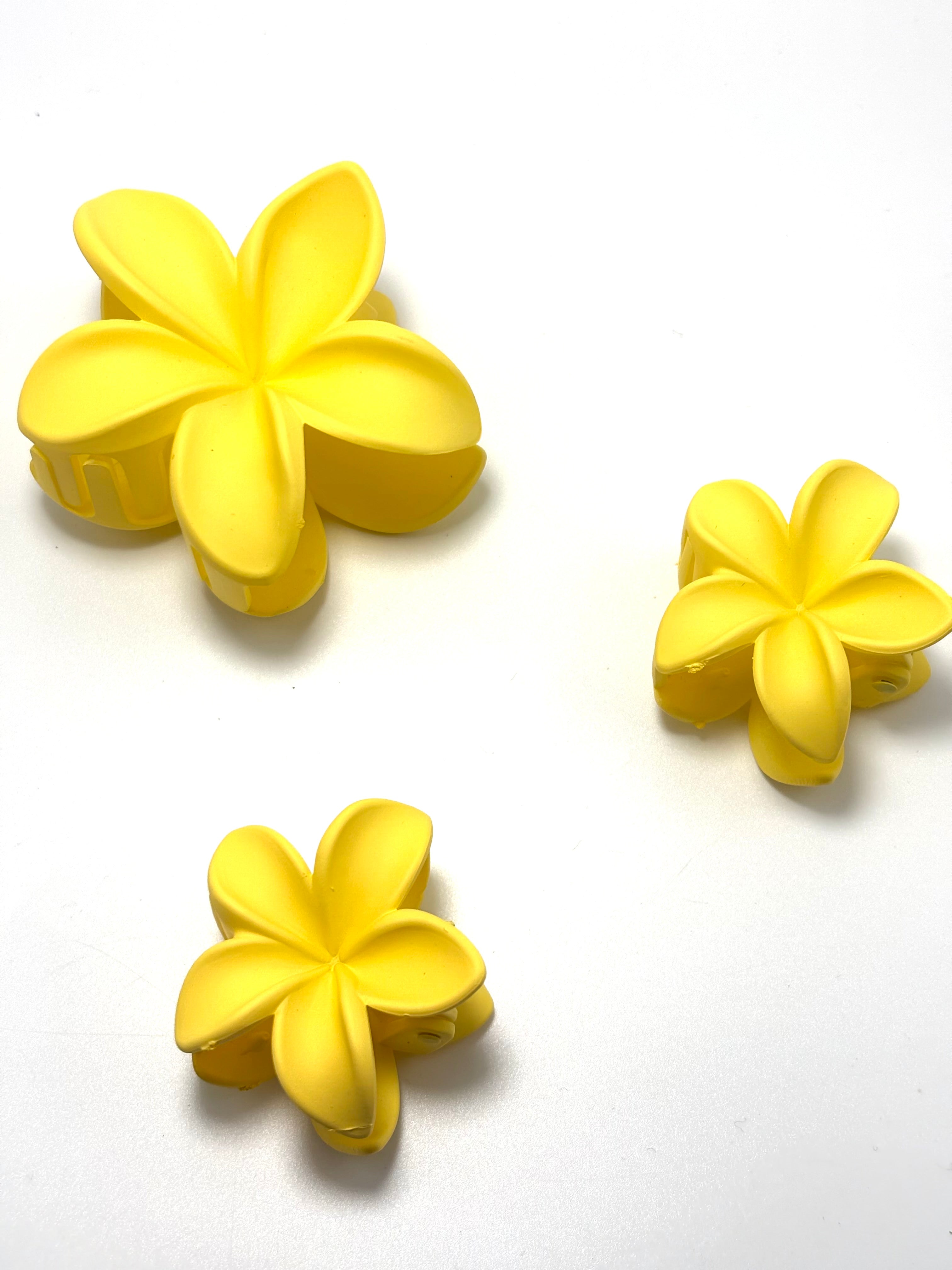 Fermaglio per capelli